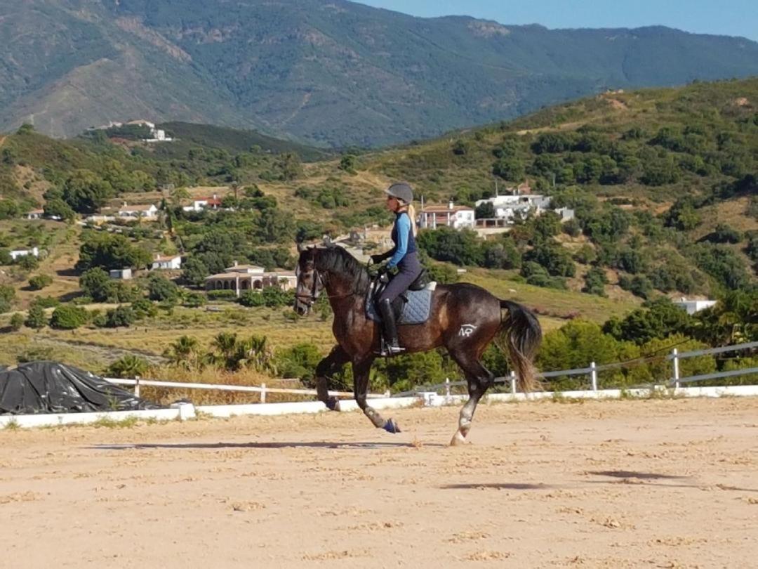 Les Chevaux De Coeur Bed & Breakfast Estepona Exterior foto